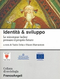 Copertina di "Identit e Sviluppo"