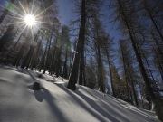 I boschi della Val dei Mcheni a Geo & Geo