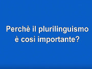 Plurilinguismo e metodo Clil - La parola agli esperti