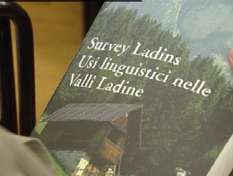 survey1