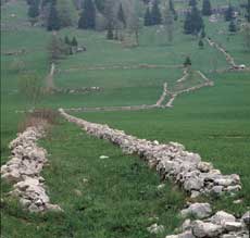 Luserna