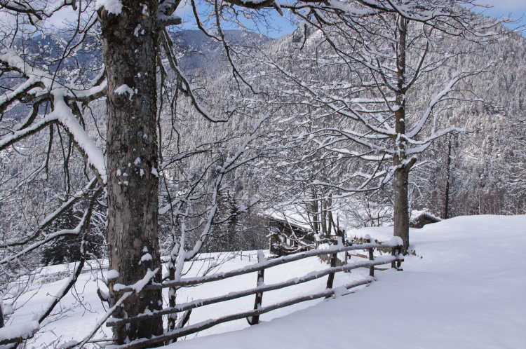 Veduta invernale di Maso Filzerhof, Istituto culturale Mcheno / Bersntolerisch Kulturinstitut