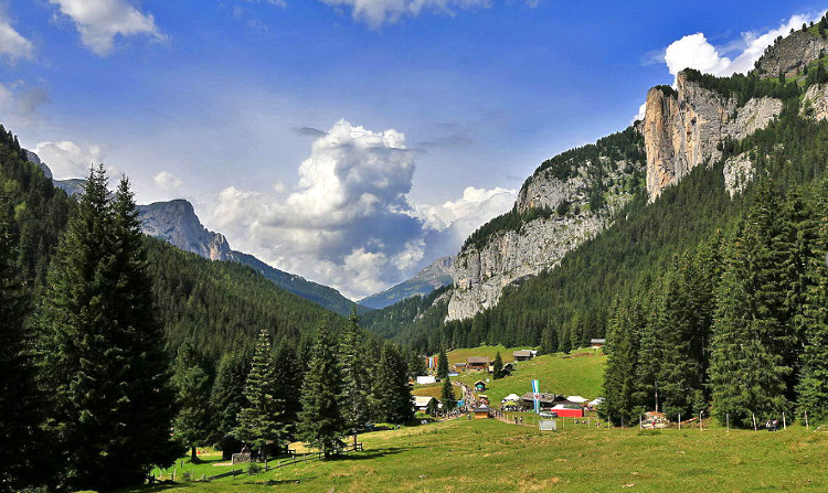 Festa ta Mont, edizione light, 2 agosto 2020, Val San Nicol (Fassa, TN)