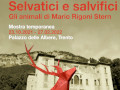Mostra temporanea "Gli animali di Mario Rigoni Stern"