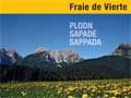 particolare locandina