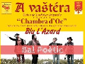 Spettacolo musicale con i Blu l'Azard