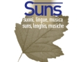 Suns