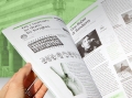 testate giornaliste in lingua minoritaria 