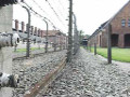 Il campo di concentramento di Auschwitz