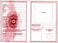 modello di carta d'identit 