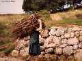 Le forti donne di Luserna
