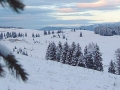 paesaggio invernale sugli Altipiani cimbri