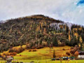 Boschi abbattuti dal maltempo in Valle di Fassa
