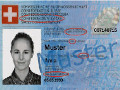 Un esempio di carta d'identit svizzera plurilingue