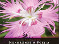 Mendrnze n poejia concorso di poesia in lingua locale