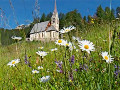 Estate in Val di Fassa
