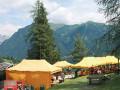 Festa campestre in Val di Fassa