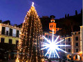 Una stella fassana a Portofino