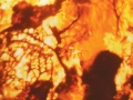 fine giugno: accensione del fuoco di San Pietro e Paolo a Fierozzo e Roveda
