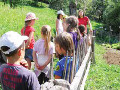 Settimane verdi in Val dei Mcheni per bambini della scuola materna