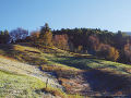 colori dell'autunno 