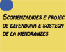 titolo articolo 
